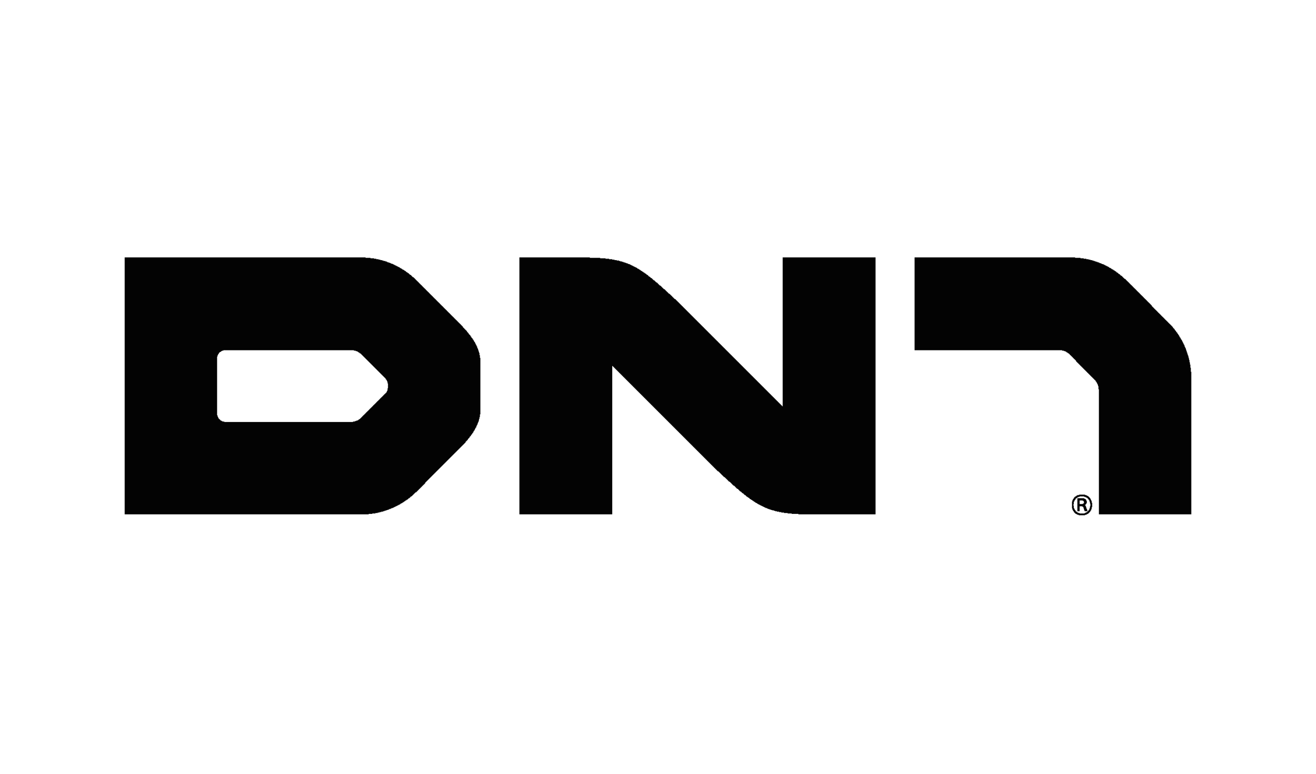 DN1